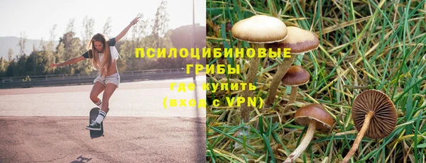 бутират Алексин