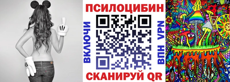 Псилоцибиновые грибы Psilocybe  Лебедянь 